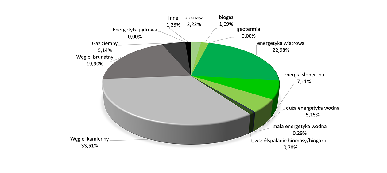 Struktura Paliw Energa